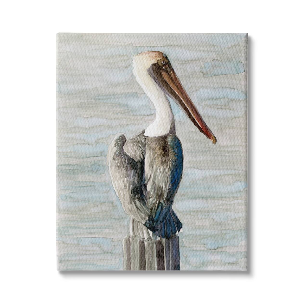 Stupell Industries Long Beak Pelican Watercolor Painting Coastal Waterfowl Bird Canvas Wall Art